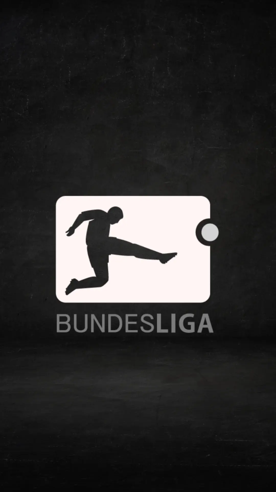 Sport viewing image 13